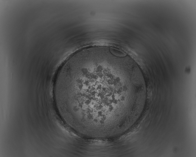 X0000093470347200710191150