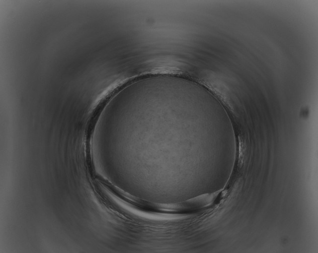 X0000093470348200710191150