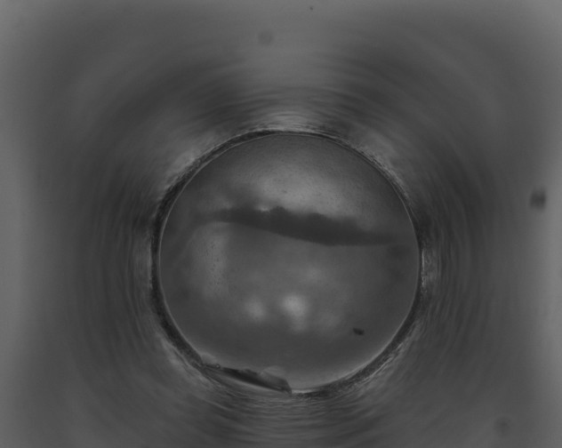 X0000093470349200710191150