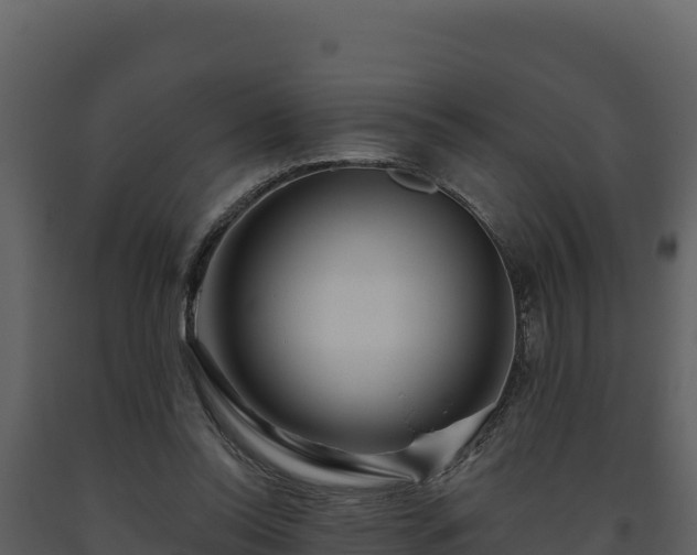 X0000093470350200710191150