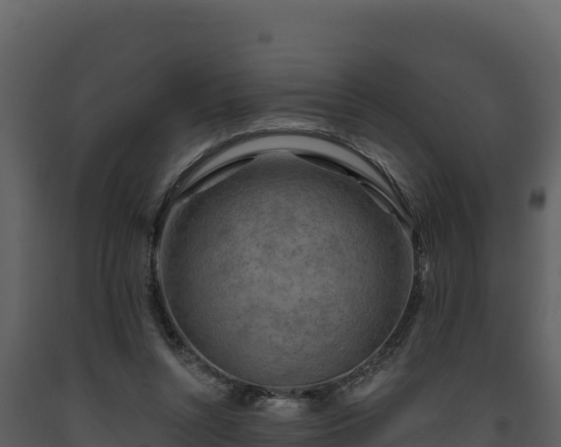 X0000093470352200710191150