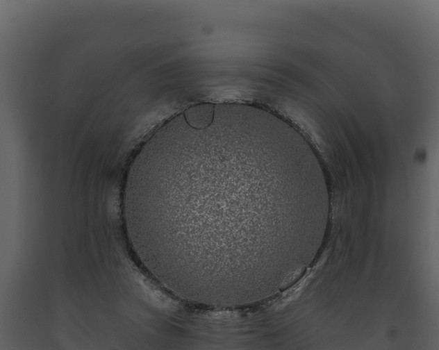 X0000093470353200710191150