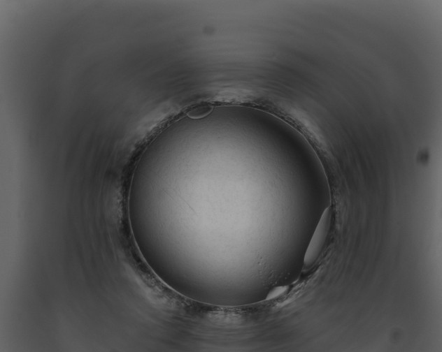 X0000093470354200710191150