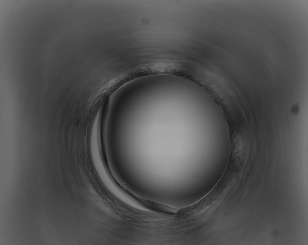 X0000093470356200710191150