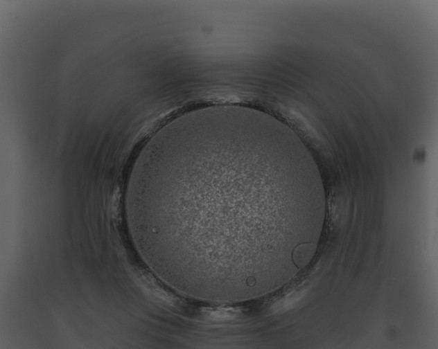 X0000093470359200710191150