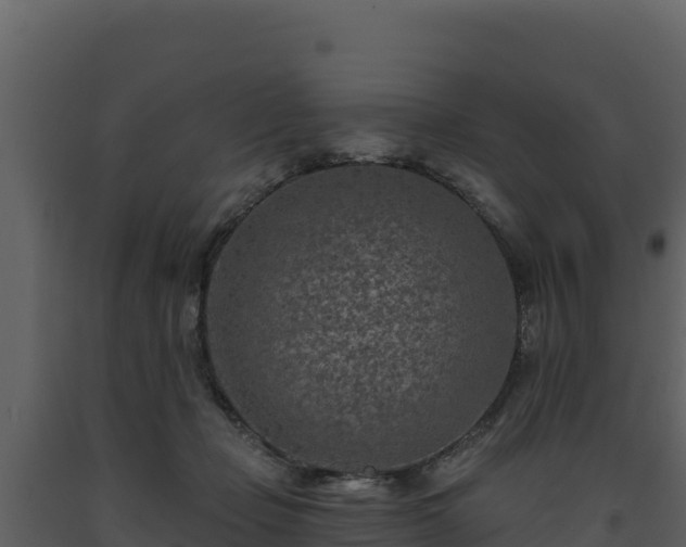 X0000093470365200710191150