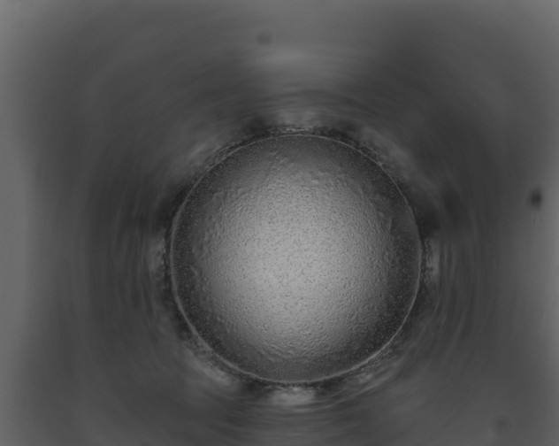 X0000093470369200710191150