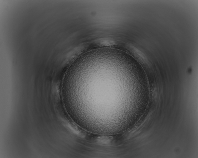 X0000093470373200710191150