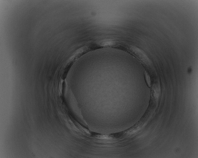 X0000093470380200710191150