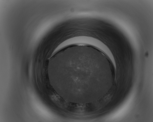 X0000093470382200710191150