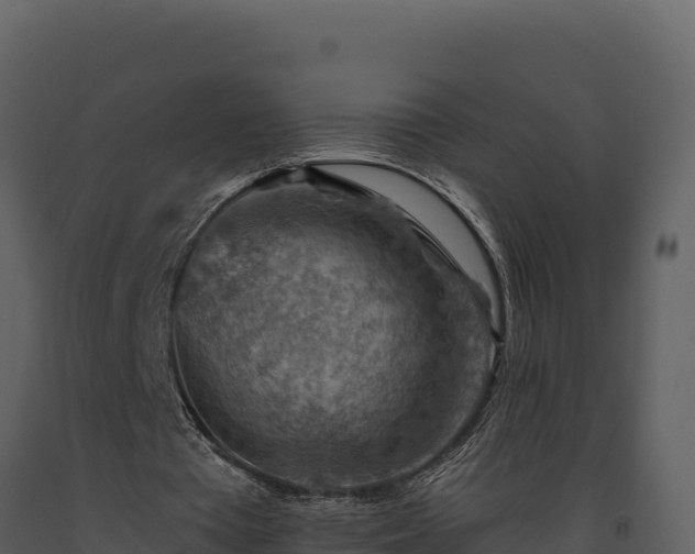 X0000093470385200710191150