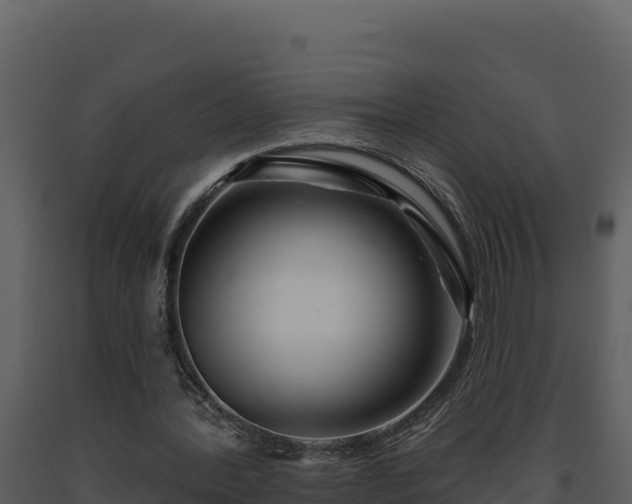 X0000093470388200710191150