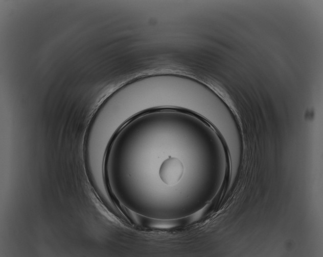 X0000093470389200710191150