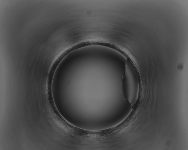 X0000093470391200710191150