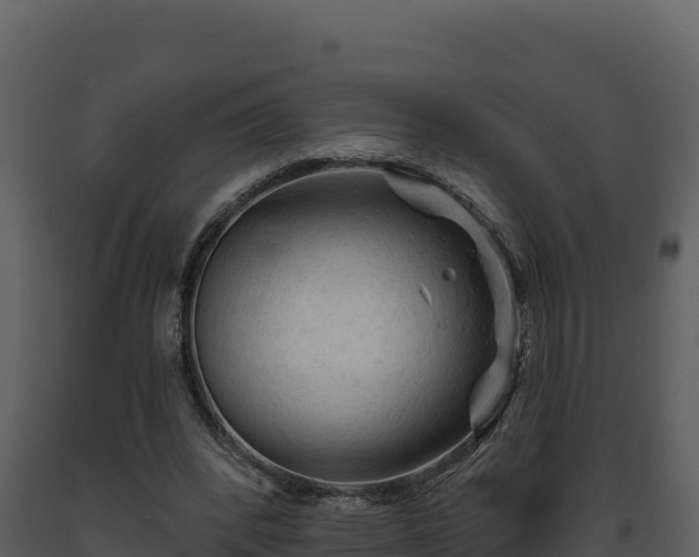 X0000093470392200710191150