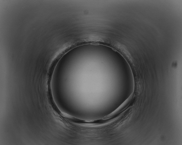 X0000093470395200710191150