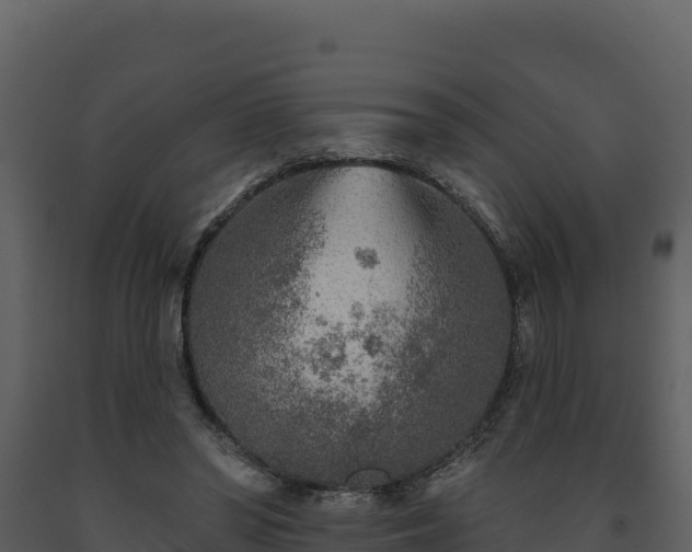 X0000093470398200710191149