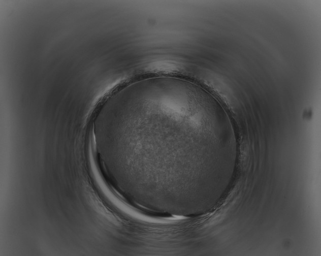 X0000093470399200710191149