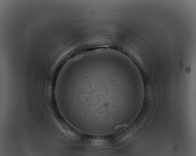 X0000093470400200710191149