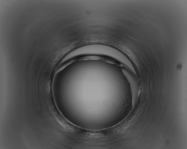 X0000093470401200710191149