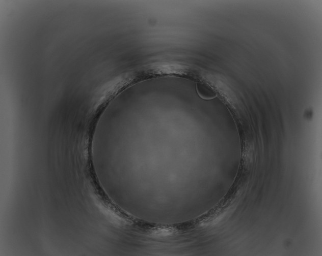 X0000093470402200710191149