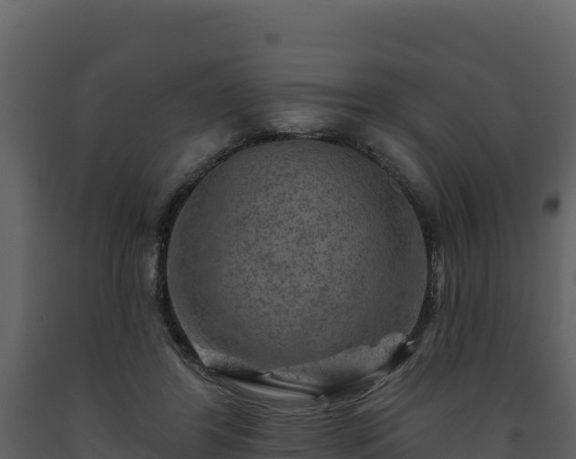 X0000093470404200710191149