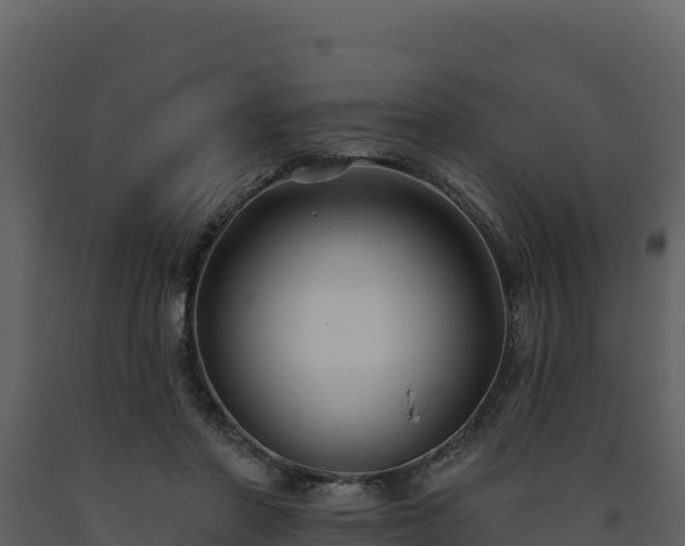 X0000093470406200710191149