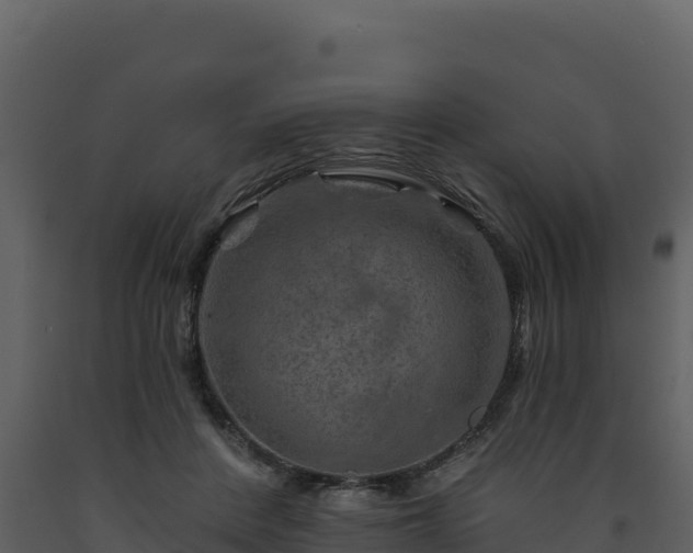 X0000093470408200710191149