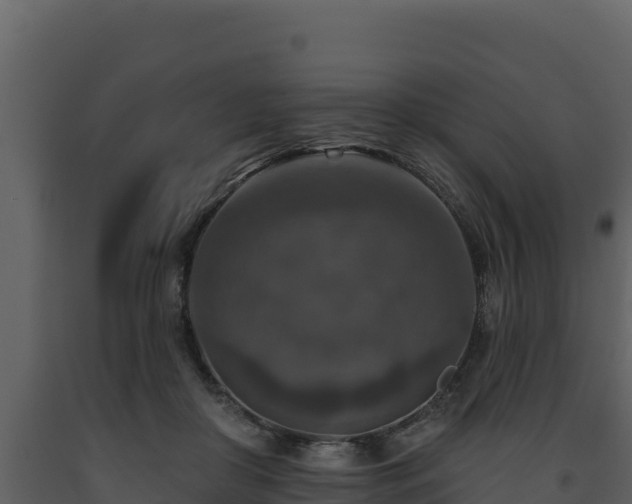 X0000093470410200710191149