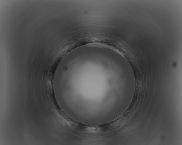 X0000093470415200710191149