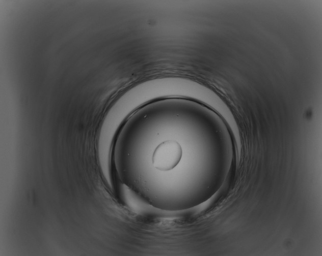 X0000093470423200710191149