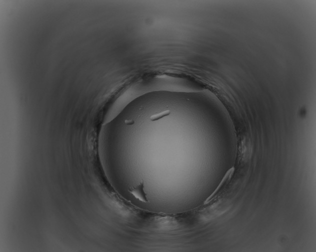 X0000093470424200710191149