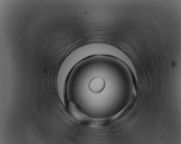 X0000093470425200710191149