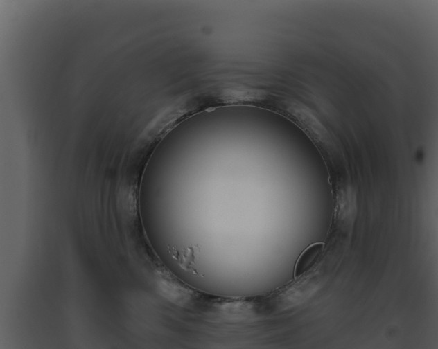 X0000093470426200710191149