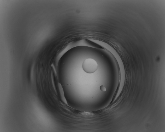 X0000093470429200710191149