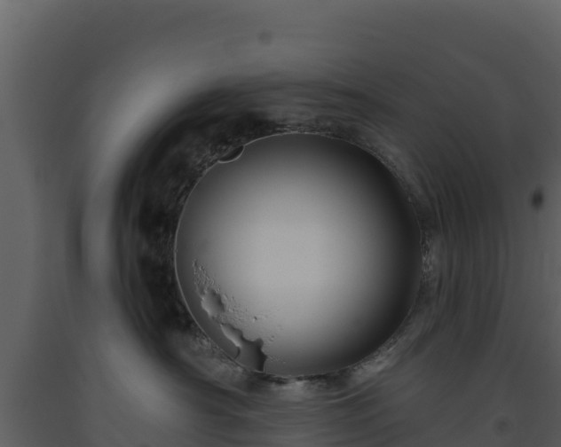 X0000093470430200710191149