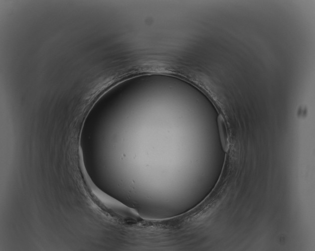 X0000093470433200710191148