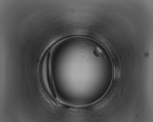 X0000093470435200710191148