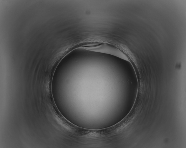 X0000093470441200710191148