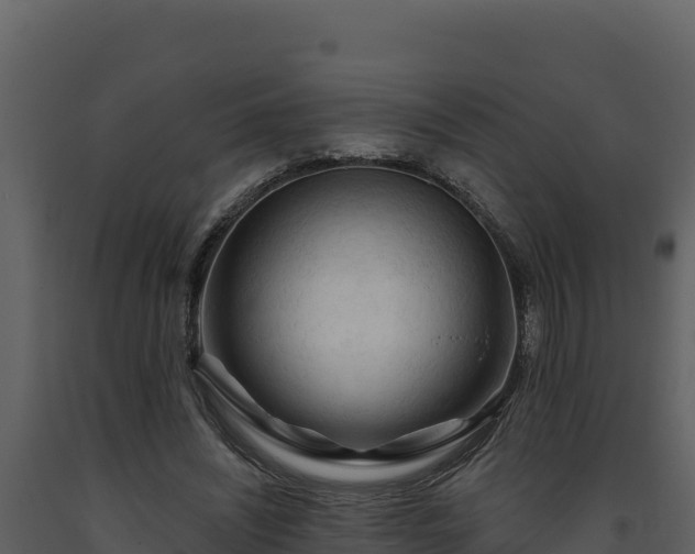 X0000093470444200710191148