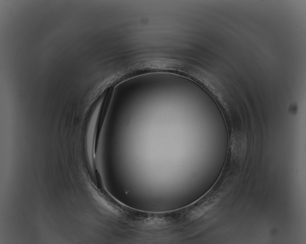 X0000093470445200710191148