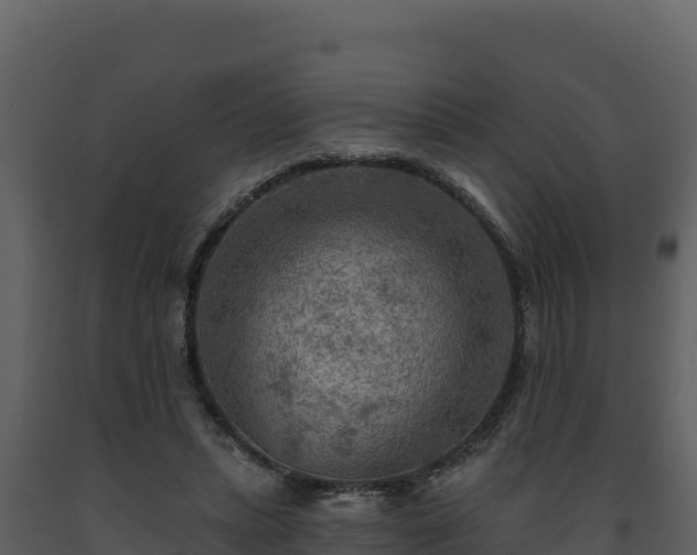 X0000093470447200710191148