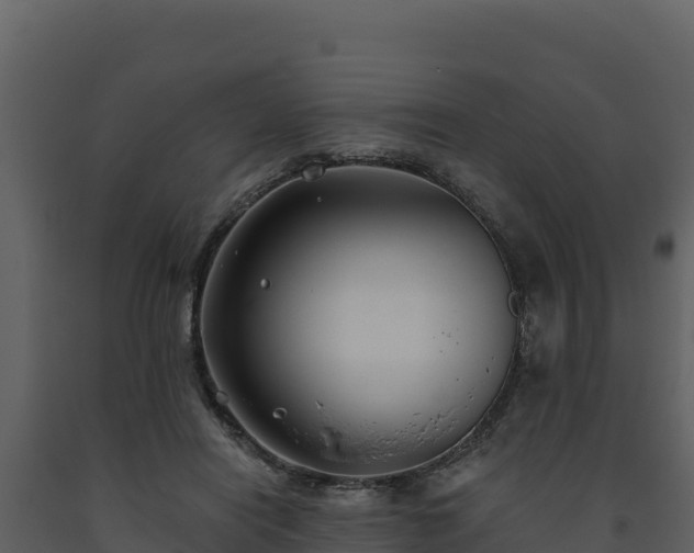 X0000093470454200710191149