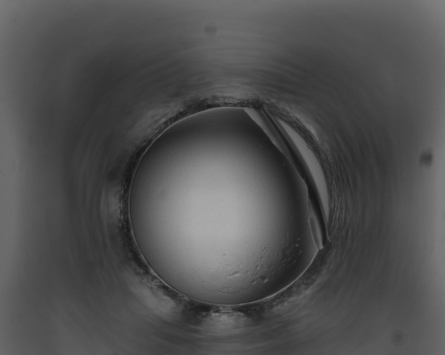 X0000093470455200710191149