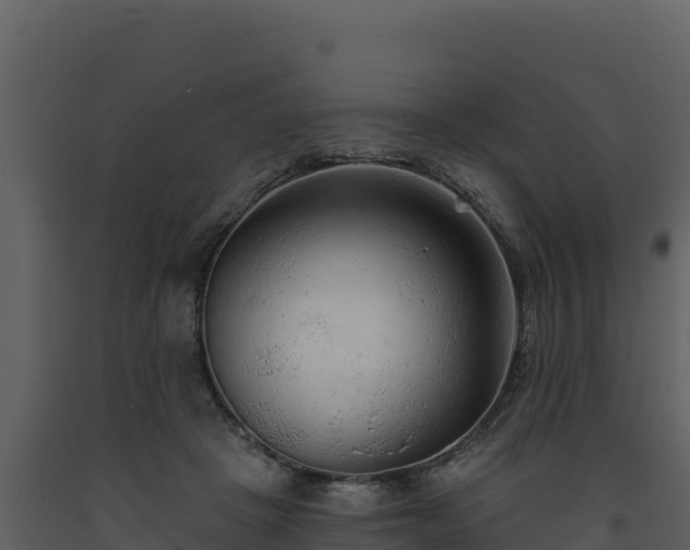 X0000093470457200710191149