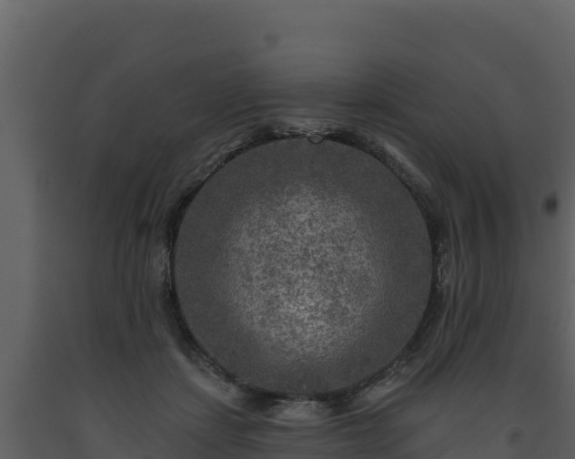 X0000093470459200710191149