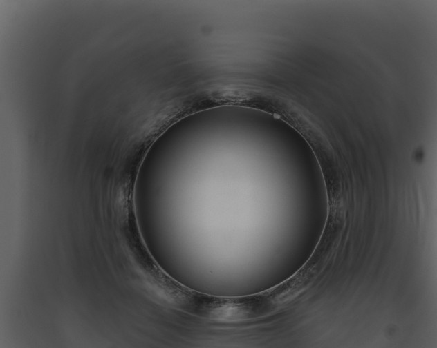 X0000093470460200710191149