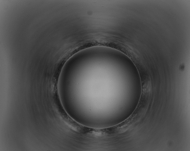 X0000093470464200710191149