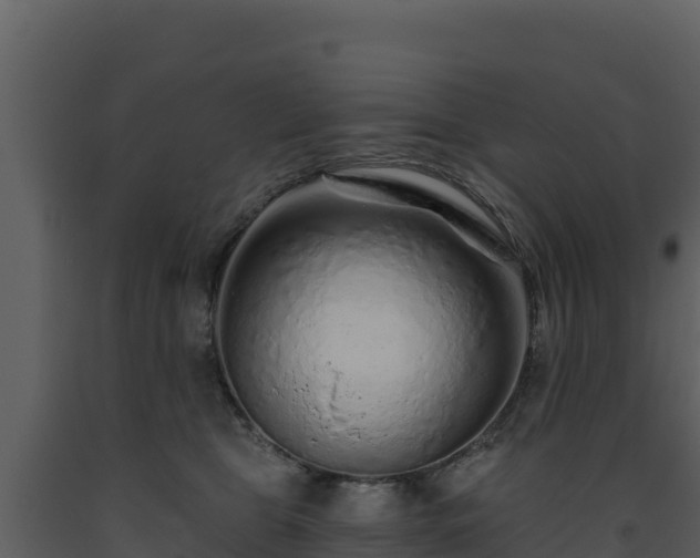 X0000093470469200710191149