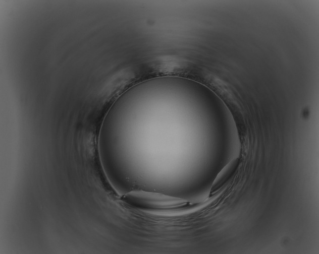 X0000093470470200710191149